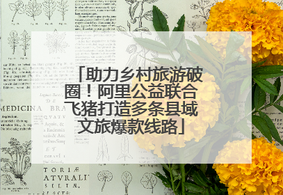 助力乡村旅游破圈！阿里公益联合飞猪打造多条县域文旅爆款线路