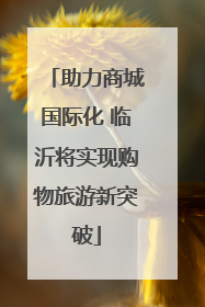 助力商城国际化 临沂将实现购物旅游新突破