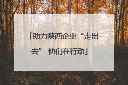 助力陕西企业“走出去” 他们在行动