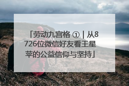 劳动九宫格 ①｜从8726位微信好友看王星苹的公益信仰与坚持