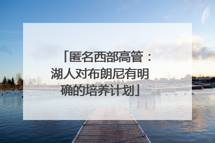 匿名西部高管：湖人对布朗尼有明确的培养计划