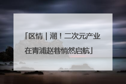 区情｜潮！二次元产业在青浦赵巷悄然启航
