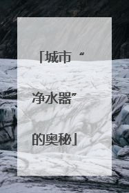 城市“净水器”的奥秘