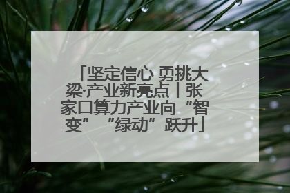 坚定信心 勇挑大梁·产业新亮点丨张家口算力产业向“智变”“绿动”跃升