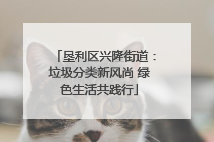 垦利区兴隆街道:垃圾分类新风尚 绿色生活共践行