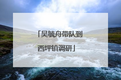 吴毓舟带队到西坪镇调研
