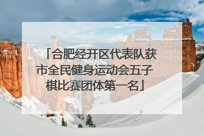 合肥经开区代表队获市全民健身运动会五子棋比赛团体第一名