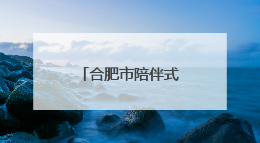 合肥市陪伴式“走出去”综合服务专窗护航企业扬帆出海