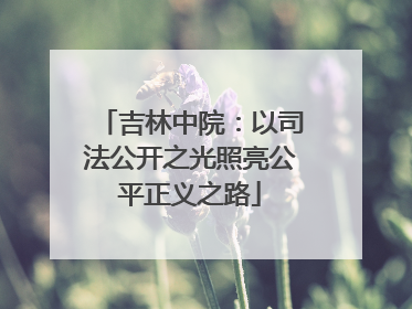 吉林中院：以司法公开之光照亮公平正义之路