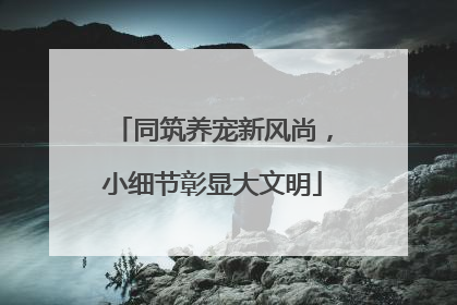 同筑养宠新风尚，小细节彰显大文明