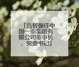吕智强任中国一重集团有限公司董事长、党委书记