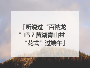 听说过“百衲龙”吗？黄湖青山村“花式”过端午