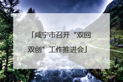 咸宁市召开“双回双创”工作推进会