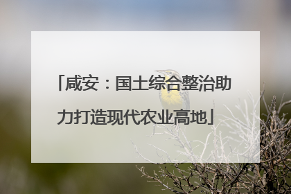 咸安：国土综合整治助力打造现代农业高地