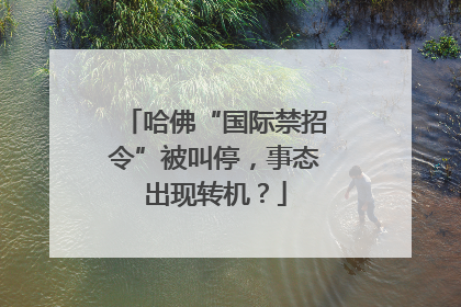 哈佛“国际禁招令”被叫停，事态出现转机？