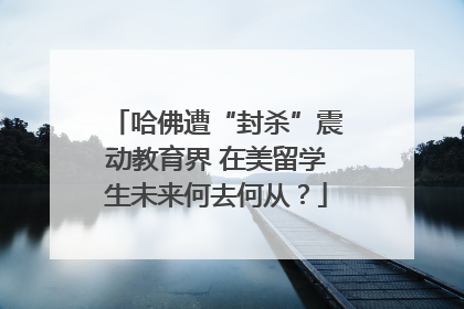 哈佛遭“封杀”震动教育界 在美留学生未来何去何从？