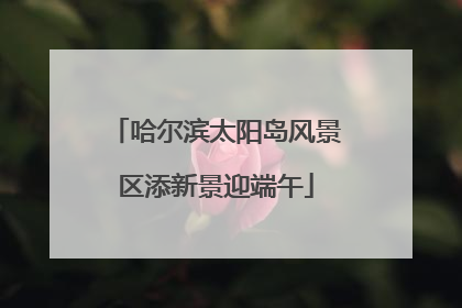哈尔滨太阳岛风景区添新景迎端午