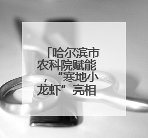 哈尔滨市农科院赋能，“寒地小龙虾”亮相哈洽会