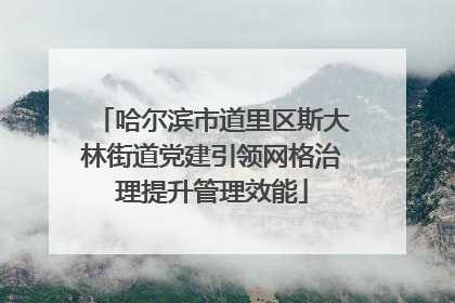哈尔滨市道里区斯大林街道党建引领网格治理提升管理效能