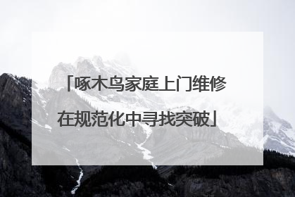 啄木鸟家庭上门维修在规范化中寻找突破