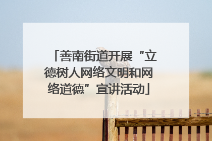 善南街道开展“立德树人网络文明和网络道德”宣讲活动