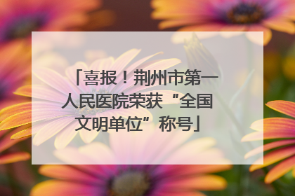 喜报！荆州市第一人民医院荣获“全国文明单位”称号