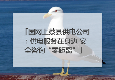 国网上蔡县供电公司：供电服务在身边 安全咨询“零距离”
