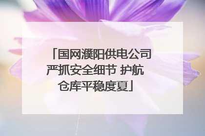 国网濮阳供电公司严抓安全细节 护航仓库平稳度夏