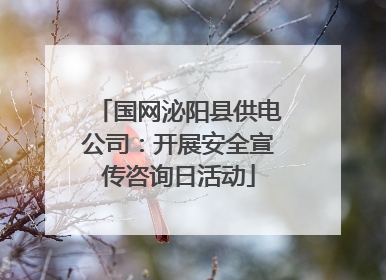 国网泌阳县供电公司：开展安全宣传咨询日活动
