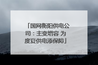 国网衡阳供电公司：主变增容 为度夏供电添保障