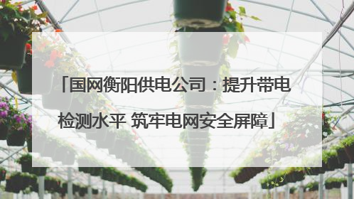 国网衡阳供电公司：提升带电检测水平 筑牢电网安全屏障
