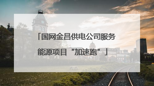 国网金昌供电公司服务能源项目“加速跑”