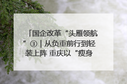 国企改革“头雁领航”③｜从负重前行到轻装上阵 重庆以“瘦身”谋“健体”
