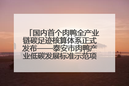 国内首个肉鸭全产业链碳足迹核算体系正式发布——泰安市肉鸭产业低碳发展标准示范项目顺利通过验收