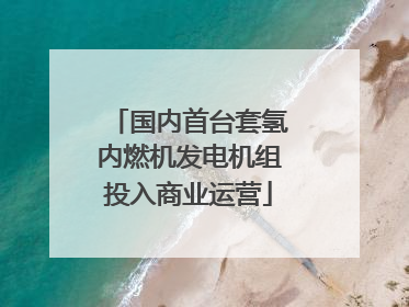 国内首台套氢内燃机发电机组投入商业运营