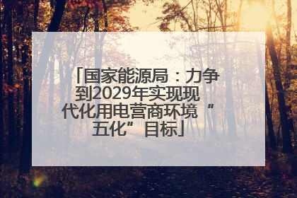 国家能源局：力争到2029年实现现代化用电营商环境“五化”目标