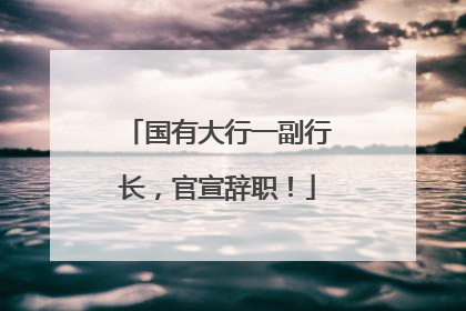 国有大行一副行长，官宣辞职！