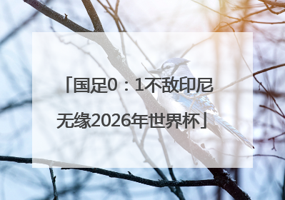 国足0：1不敌印尼 无缘2026年世界杯