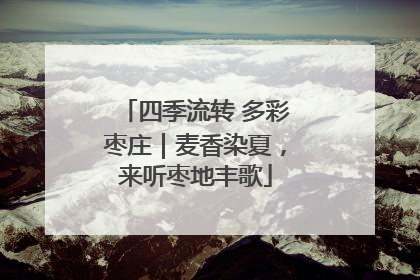四季流转 多彩枣庄｜麦香染夏，来听枣地丰歌