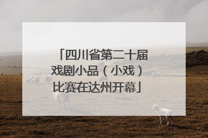 四川省第二十届戏剧小品（小戏）比赛在达州开幕