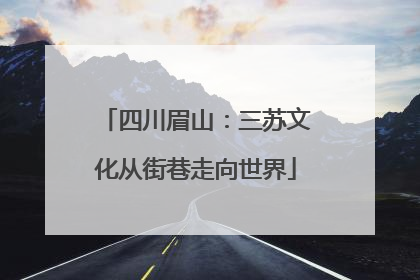 四川眉山：三苏文化从街巷走向世界