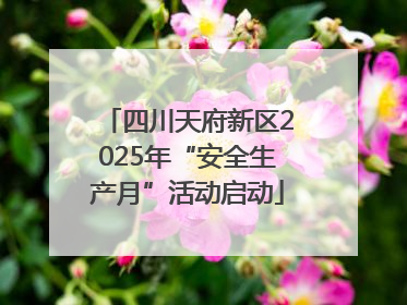 四川天府新区2025年“安全生产月”活动启动