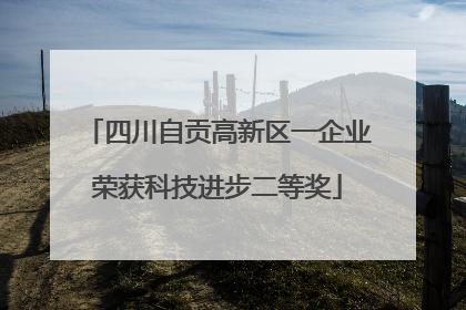 四川自贡高新区一企业荣获科技进步二等奖