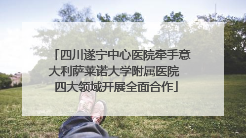 四川遂宁中心医院牵手意大利萨莱诺大学附属医院 四大领域开展全面合作