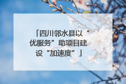 四川邻水县以“优服务”助项目建设“加速度”