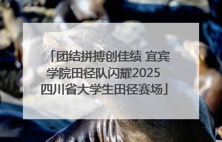 团结拼搏创佳绩 宜宾学院田径队闪耀2025四川省大学生田径赛场
