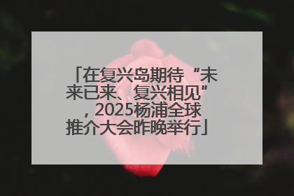 在复兴岛期待“未来已来、复兴相见”，2025杨浦全球推介大会昨晚举行