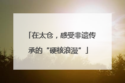 在太仓，感受非遗传承的“硬核浪漫”