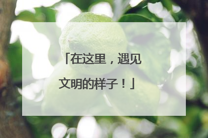 在这里，遇见文明的样子！