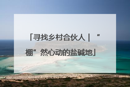 寻找乡村合伙人｜“棚”然心动的盐碱地